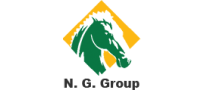 Ng Group